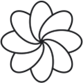Services Evolve Networks - Advanced Network Engineering Solutions