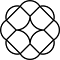 Services Evolve Networks - Advanced Network Engineering Solutions